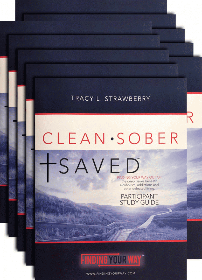 Clean, Sober & Saved Group Course Bundle